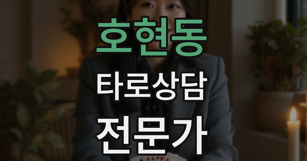 호현동 타로상담전문가 자격증