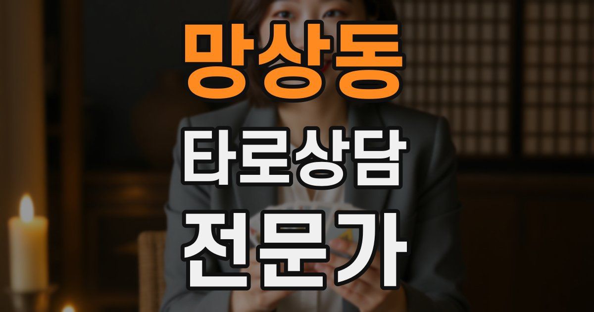 망상동 타로상담전문가 자격증