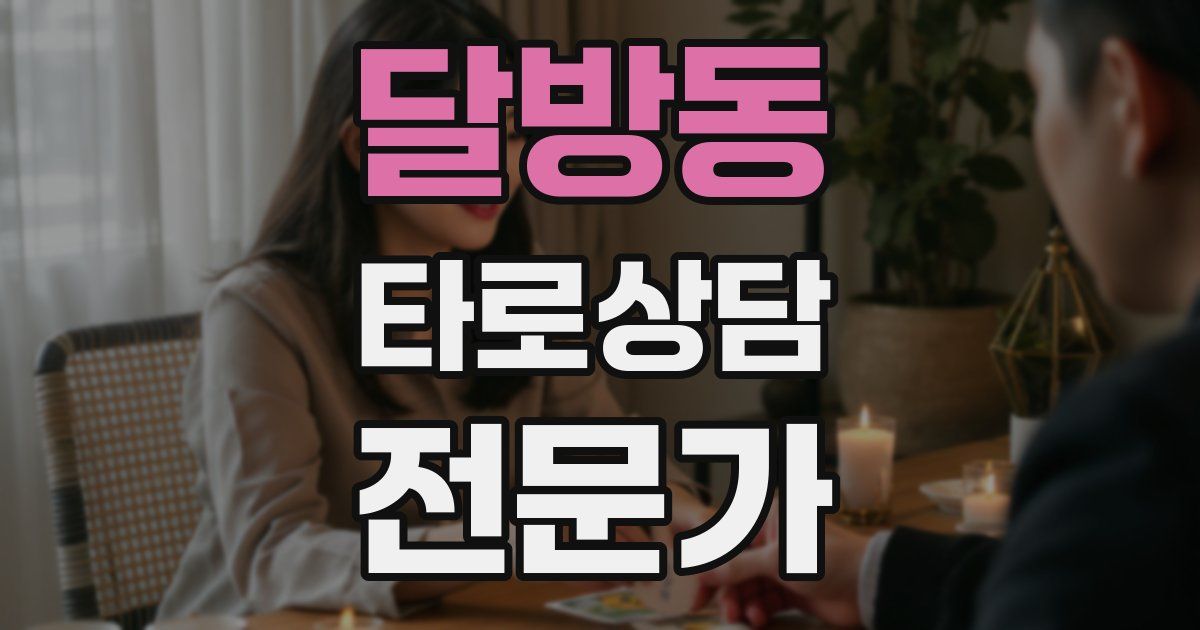 달방동 타로상담전문가 자격증