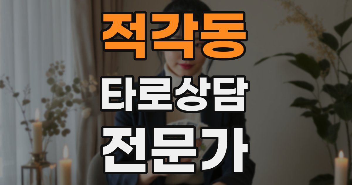 적각동 타로상담전문가 자격증