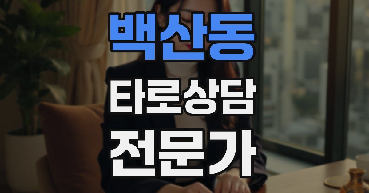 백산동 타로상담전문가 자격증