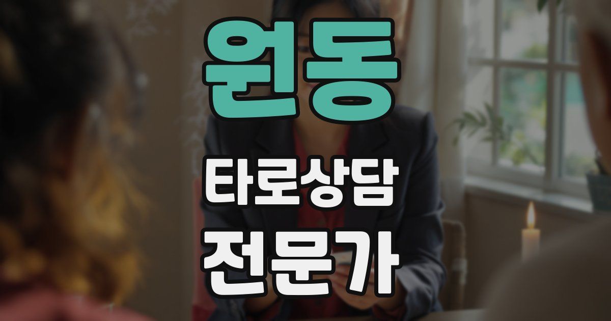 원동 타로상담전문가 자격증