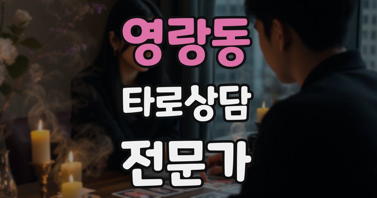 영랑동 타로상담전문가 자격증