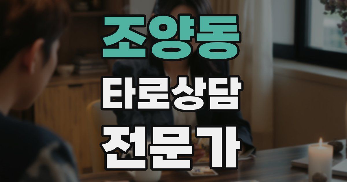 조양동 타로상담전문가 자격증
