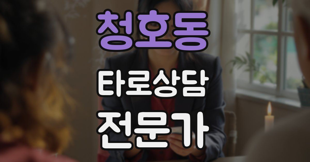 청호동 타로상담전문가 자격증
