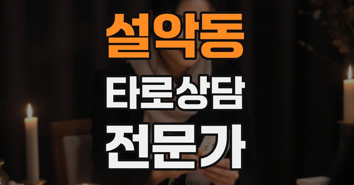 설악동 타로상담전문가 자격증