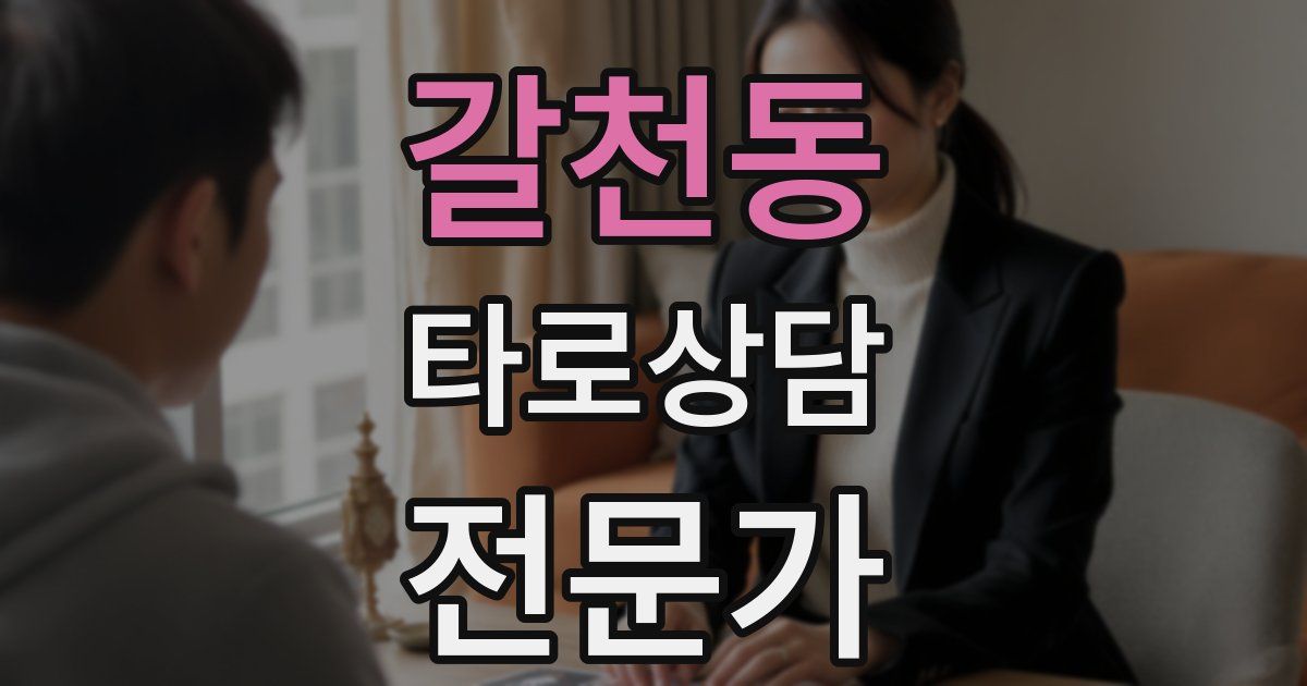 갈천동 타로상담전문가 자격증