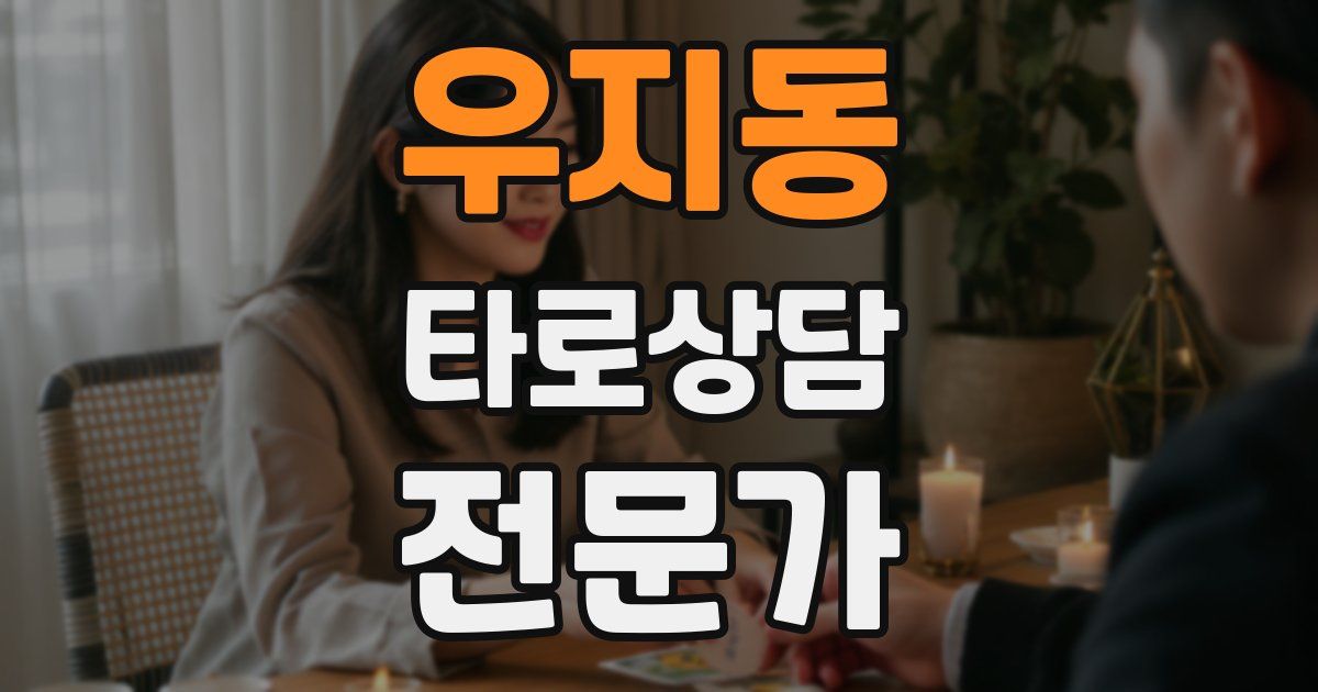 우지동 타로상담전문가 자격증