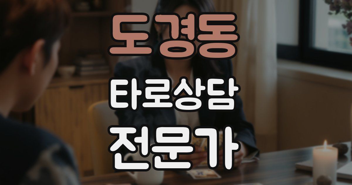 도경동 타로상담전문가 자격증