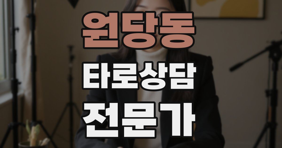 원당동 타로상담전문가 자격증