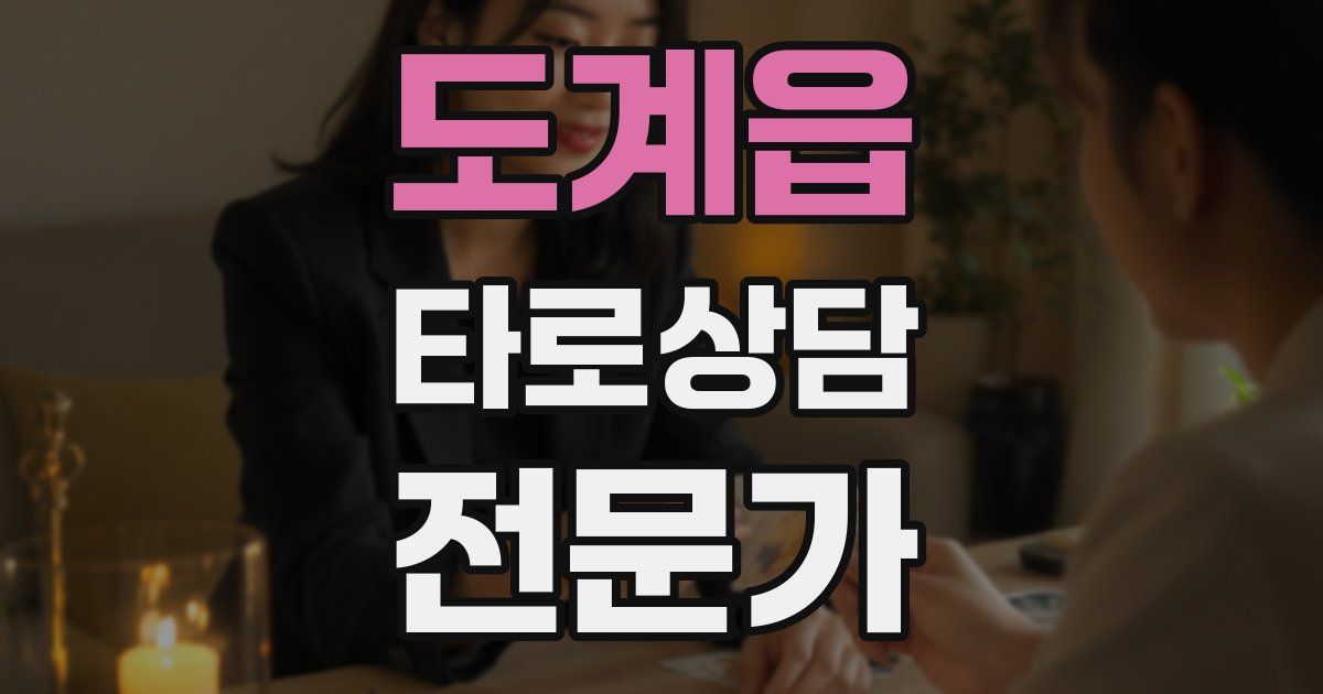 도계읍 타로상담전문가 자격증