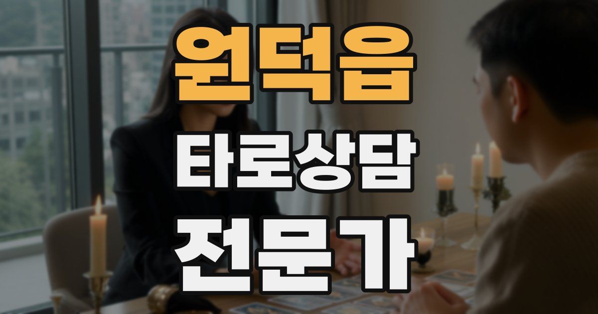 원덕읍 타로상담전문가 자격증