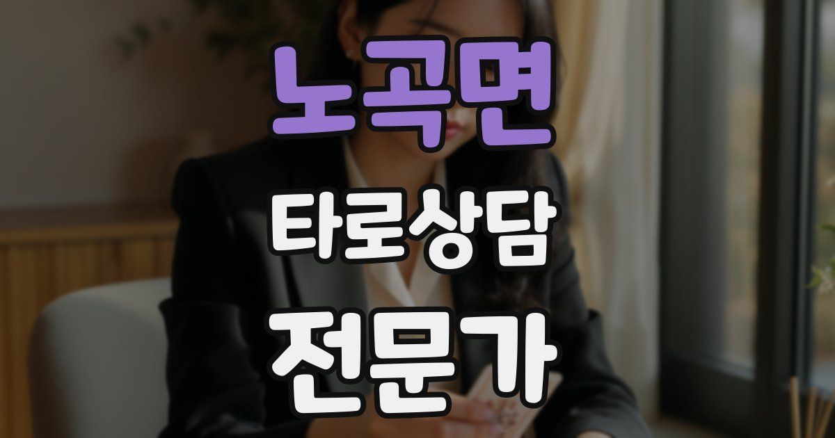 노곡면 타로상담전문가 자격증