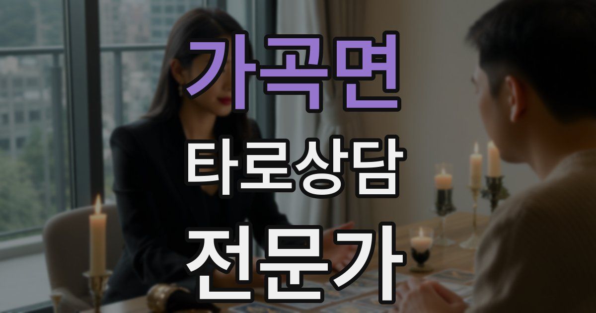 가곡면 타로상담전문가 자격증