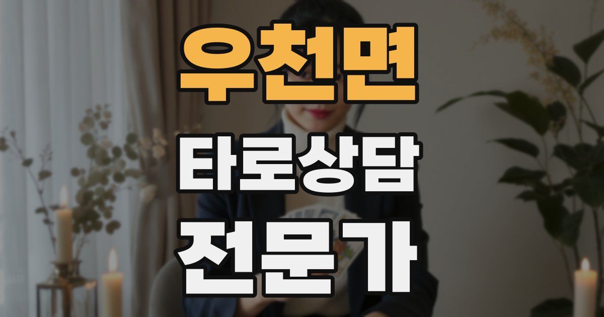 우천면 타로상담전문가 자격증
