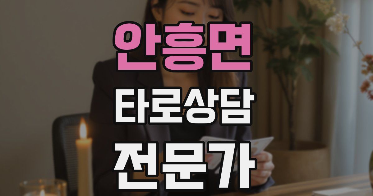 안흥면 타로상담전문가 자격증