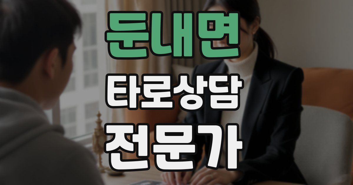 둔내면 타로상담전문가 자격증