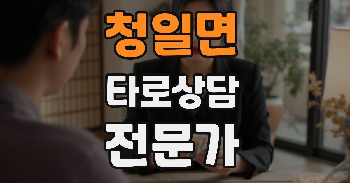 청일면 타로상담전문가 자격증