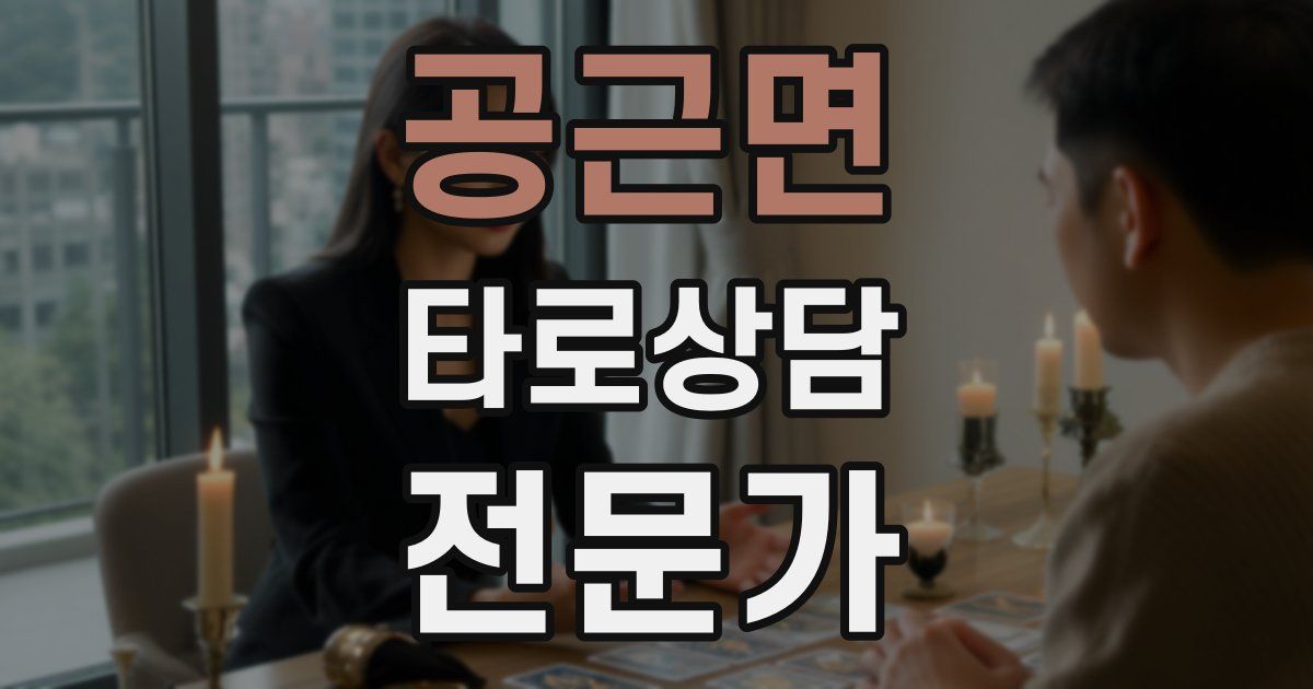 공근면 타로상담전문가 자격증