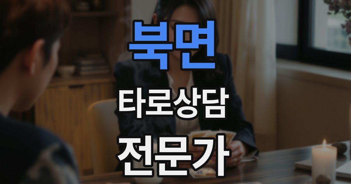 북면 타로상담전문가 자격증