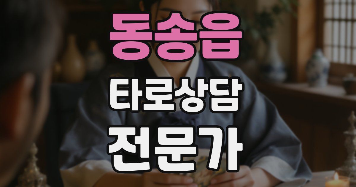 동송읍 타로상담전문가 자격증