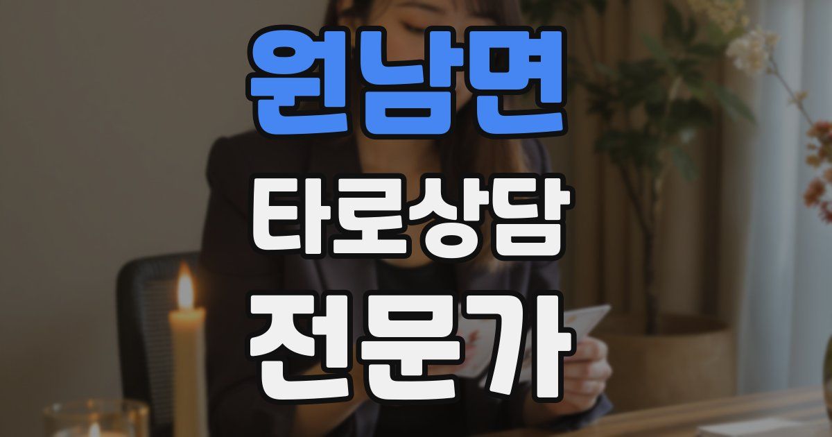 원남면 타로상담전문가 자격증