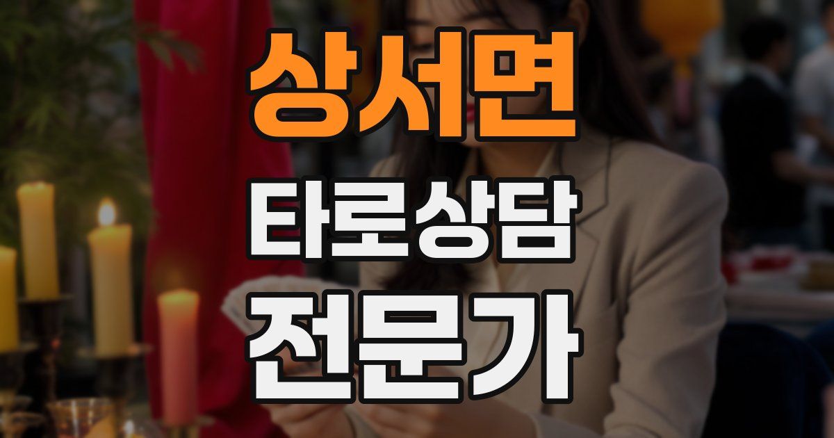상서면 타로상담전문가 자격증