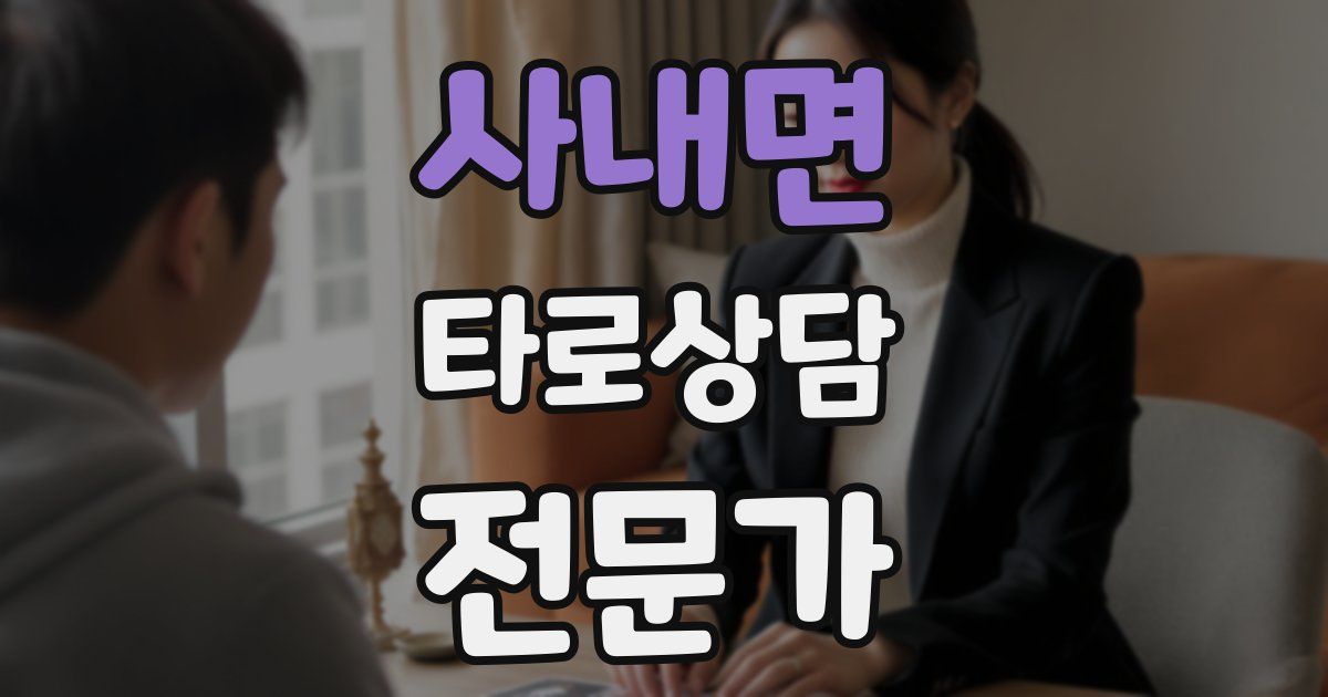 사내면 타로상담전문가 자격증