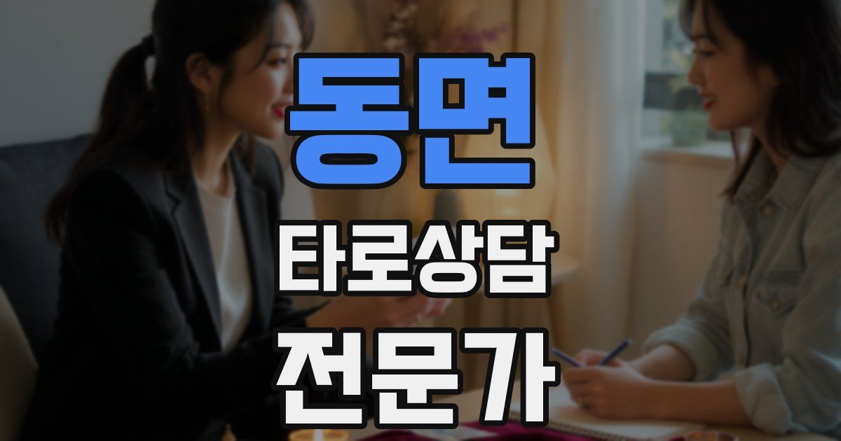 동면 타로상담전문가 자격증