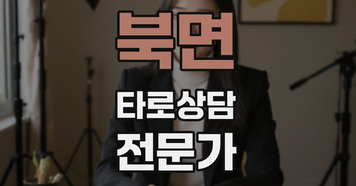 북면 타로상담전문가 자격증