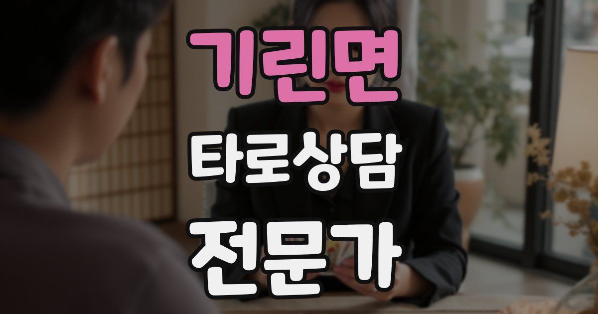 기린면 타로상담전문가 자격증