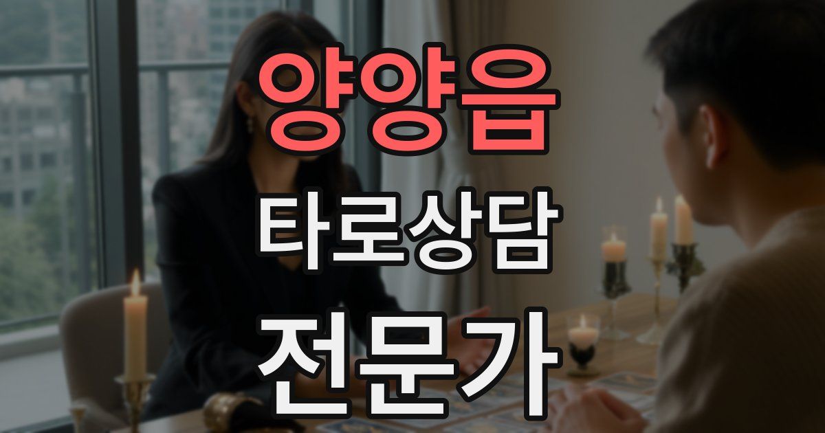 양양읍 타로상담전문가 자격증
