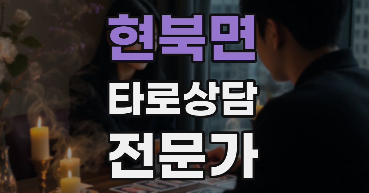 현북면 타로상담전문가 자격증