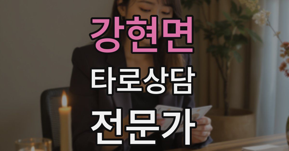 강현면 타로상담전문가 자격증