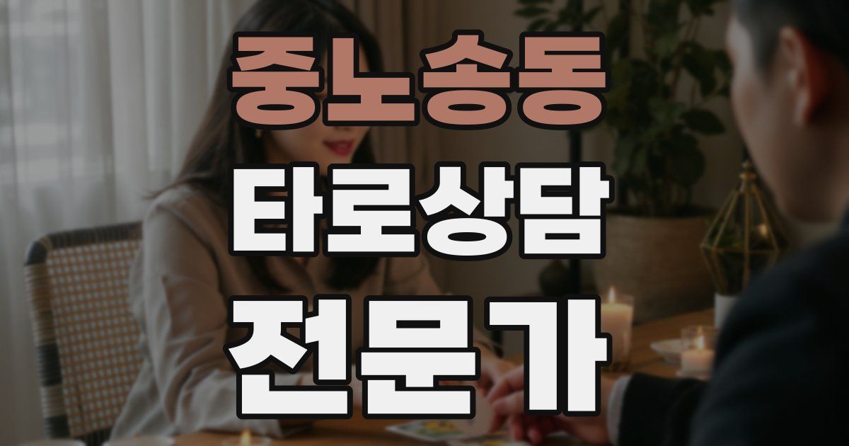 중노송동 타로상담전문가 자격증