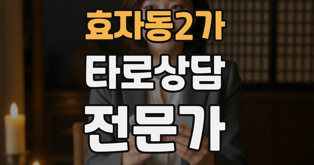 효자동2가 타로상담전문가 자격증