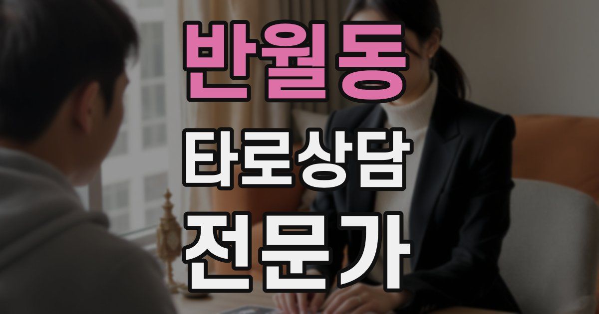 반월동 타로상담전문가 자격증