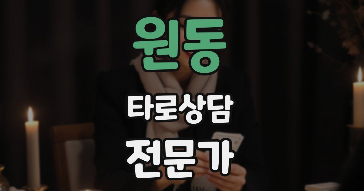 원동 타로상담전문가 자격증