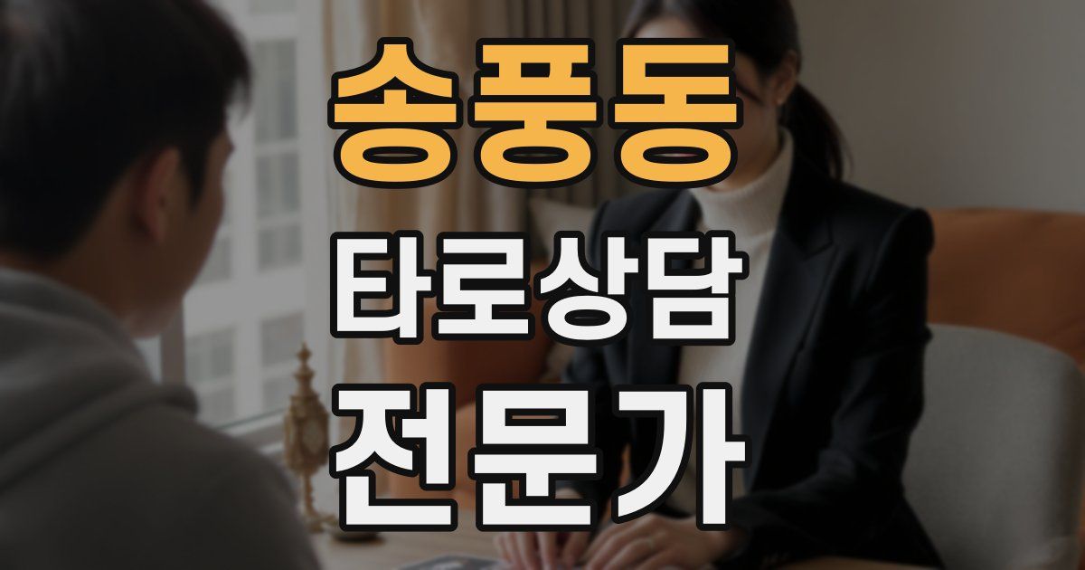 송풍동 타로상담전문가 자격증