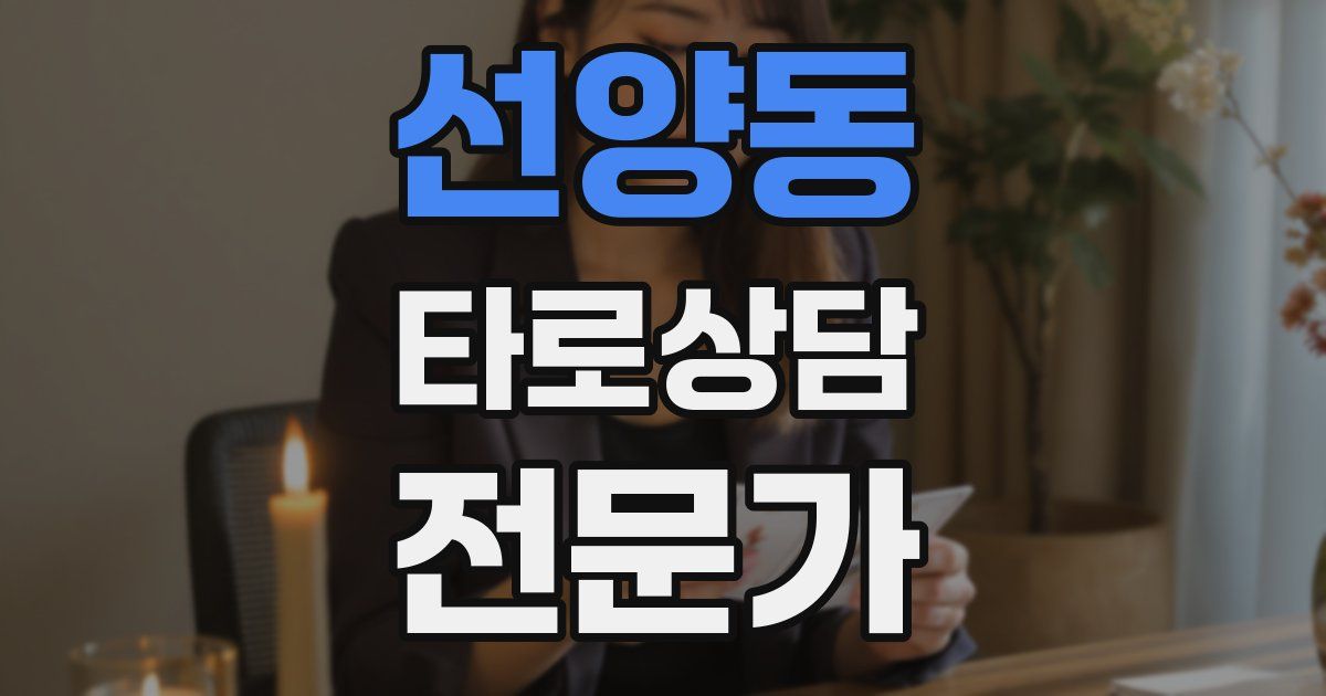 선양동 타로상담전문가 자격증