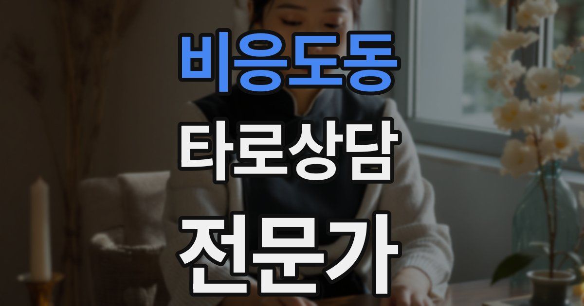 비응도동 타로상담전문가 자격증