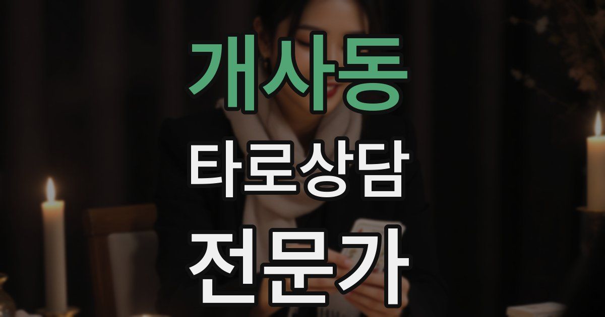 개사동 타로상담전문가 자격증