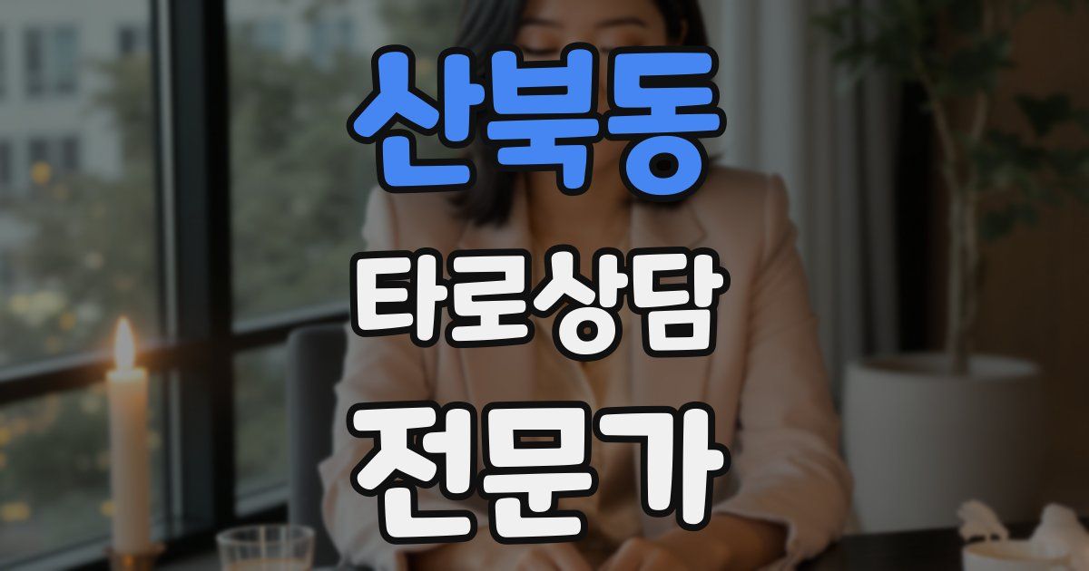 산북동 타로상담전문가 자격증