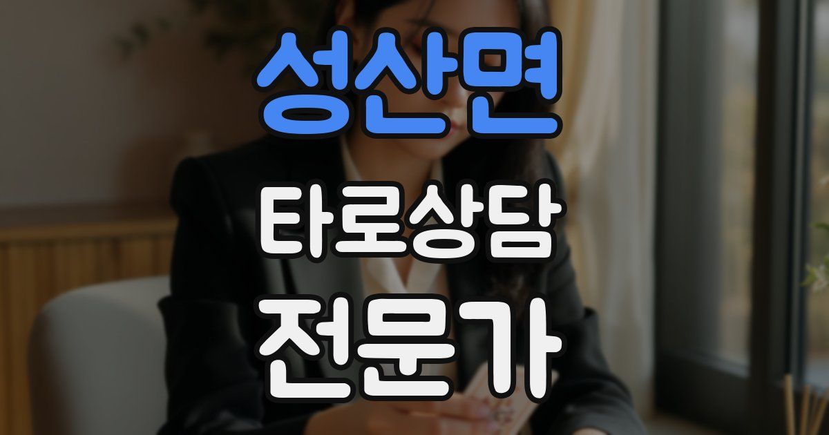 성산면 타로상담전문가 자격증