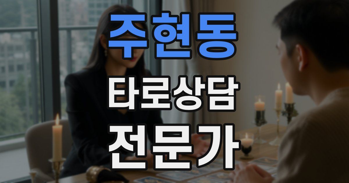 주현동 타로상담전문가 자격증
