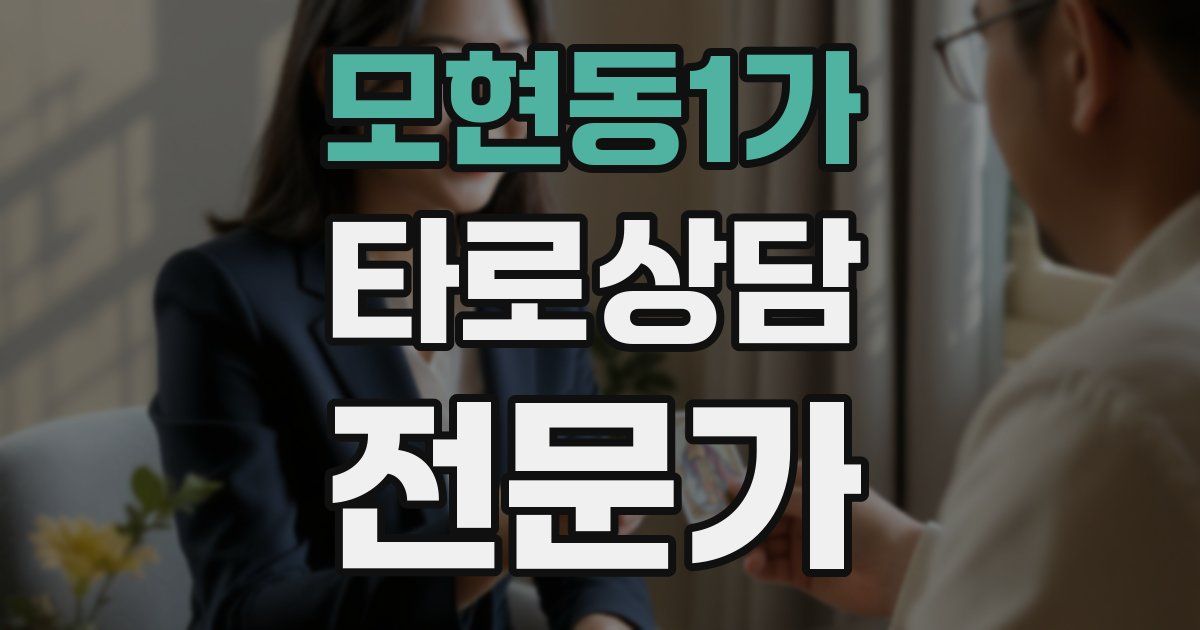 모현동1가 타로상담전문가 자격증