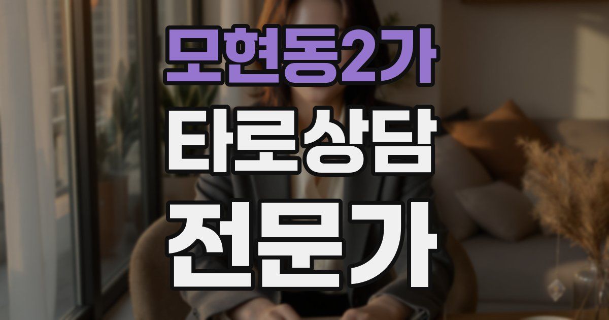 모현동2가 타로상담전문가 자격증