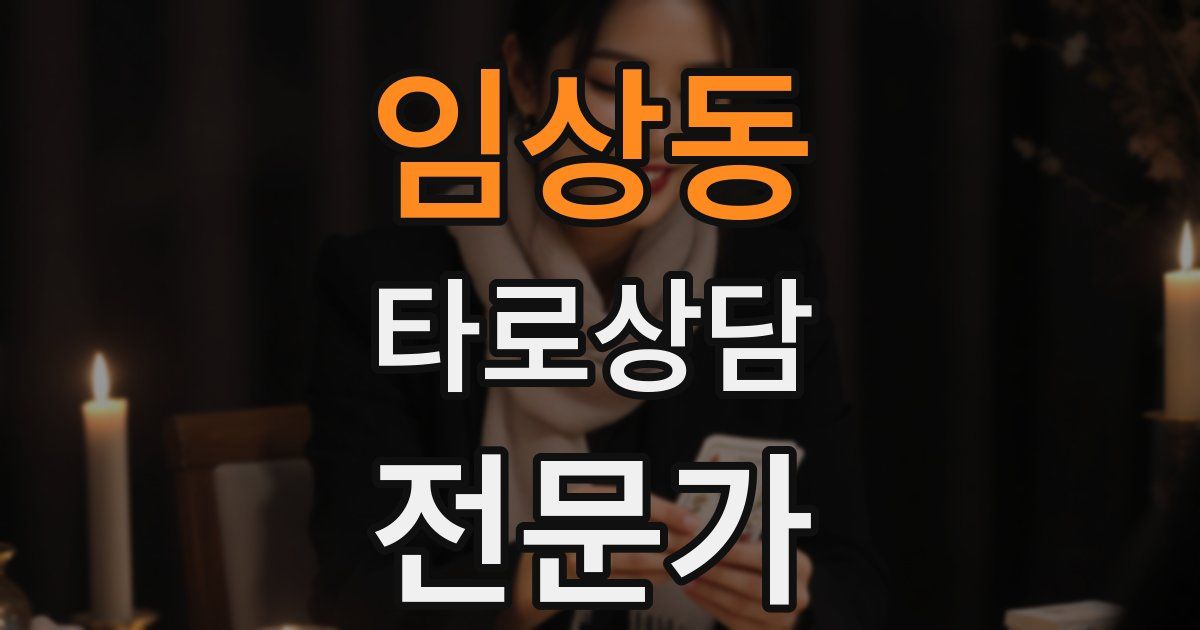 임상동 타로상담전문가 자격증