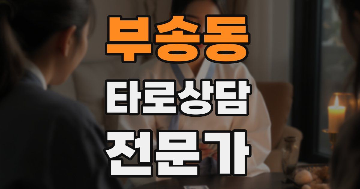 부송동 타로상담전문가 자격증