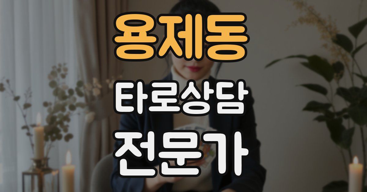 용제동 타로상담전문가 자격증